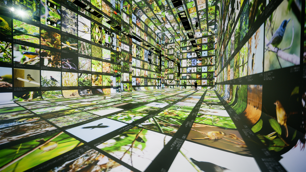 Google is powering Dataland, the first museum of AI arts